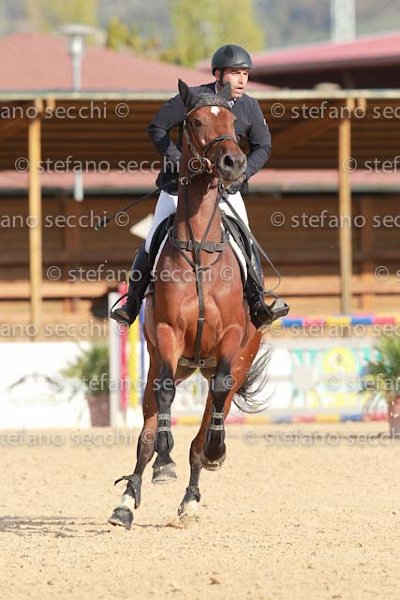 FISICHELLA_CARIOCA_GIO CAV 2011_SS3_7656.jpg